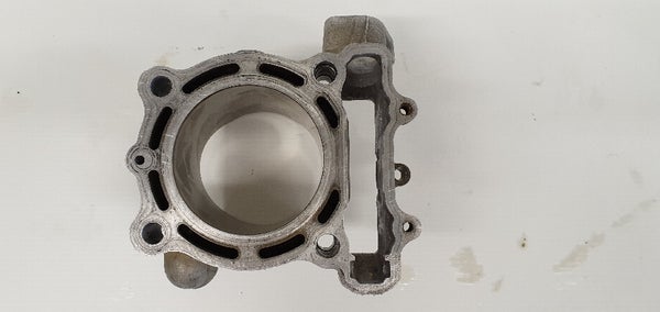 CYLINDER-ENGINE (KAWASAKI KXF250 2009) 11005-0110