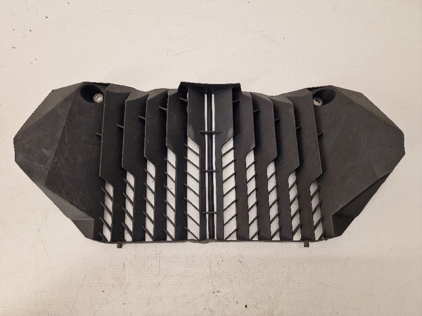 Radiator Protection 08 (KTM 690 DUKE 2008) 76535040000 76535040100