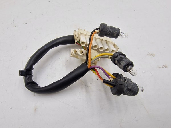 Signal lamp wire harness (LYNX ENDURO 600 2002) (5348028)